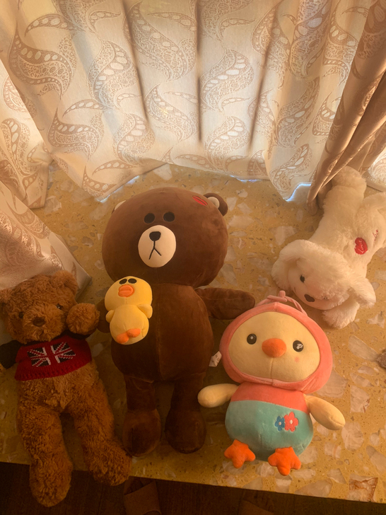 玩偶，最大的15，左边的12，鸭子12，白...