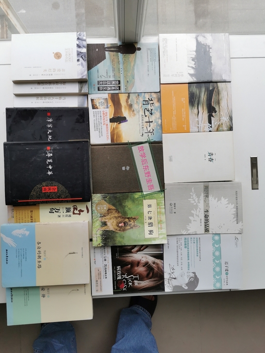 余秋雨 周国平 王开岭 东野圭吾 沈石溪 ...