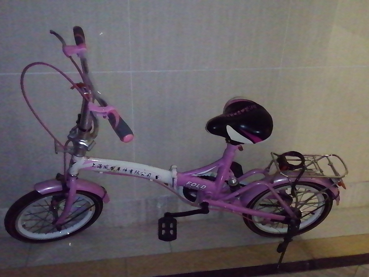 全新，一次没骑过，买送锁，儿童自行车