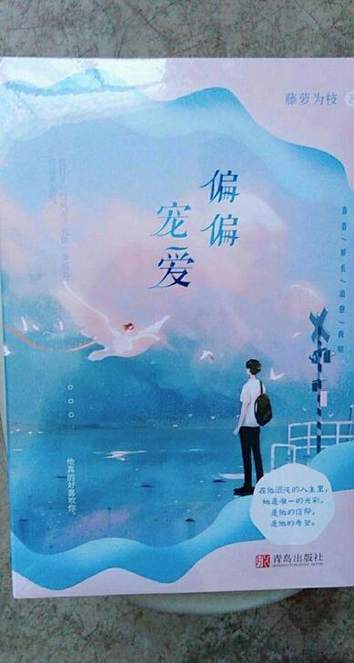 偏偏宠爱(全两册含赠品)藤萝为枝著校园青春...