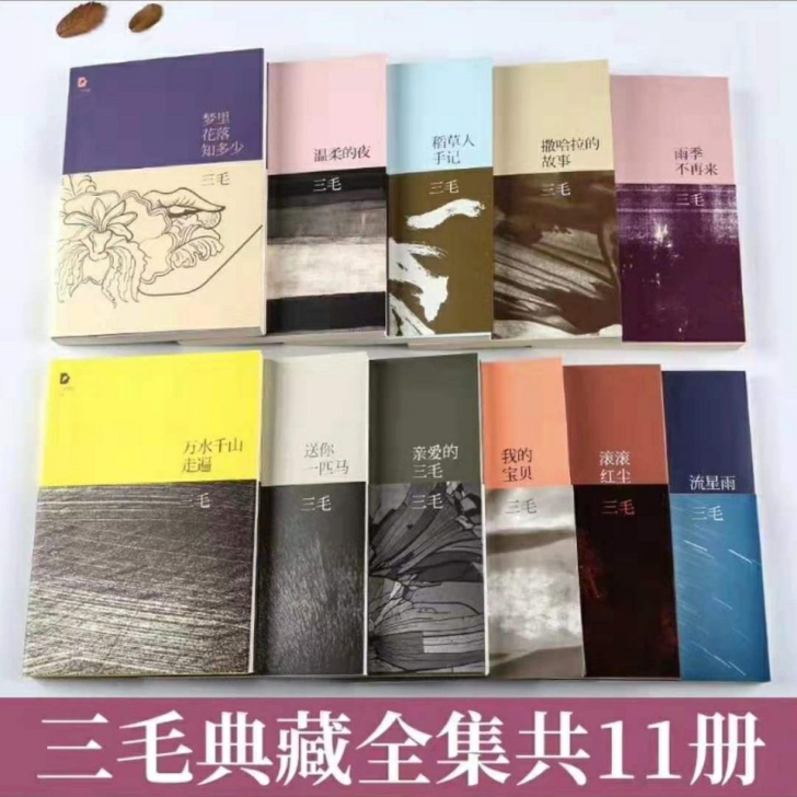 三毛作品全集11册全套珍藏版 撒哈拉的故事...