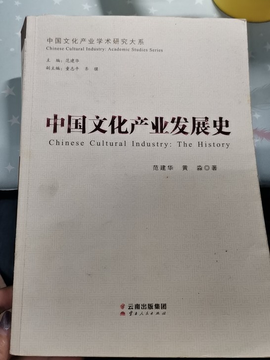 中国文化产业发展史 二手