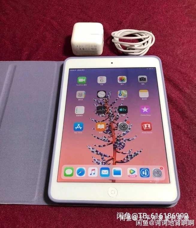 个人闲置自用ipad mini2 32g ...