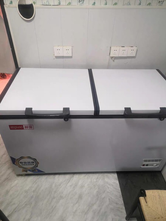 赫强大容量商用大冰柜卧式家用节能冷柜冷冻柜...