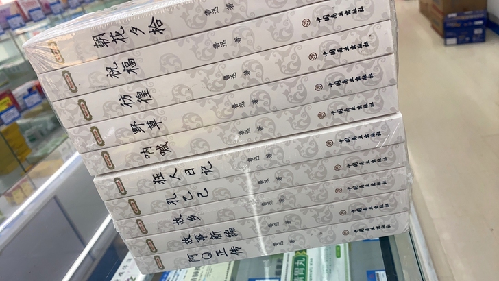 正版鲁迅小说全集散文集全套10册鲁迅狂人日...
