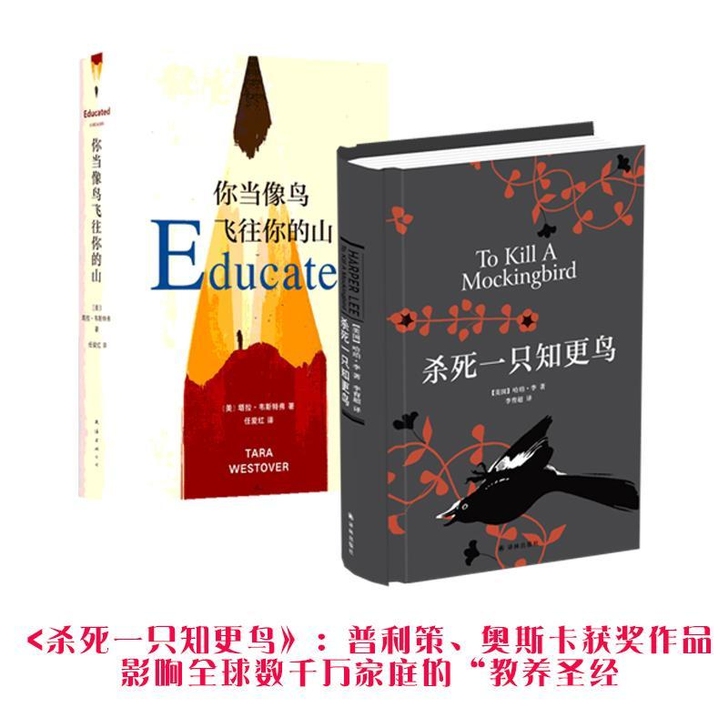 你当像鸟飞往你的山 杀死一只知更鸟哈珀李著...