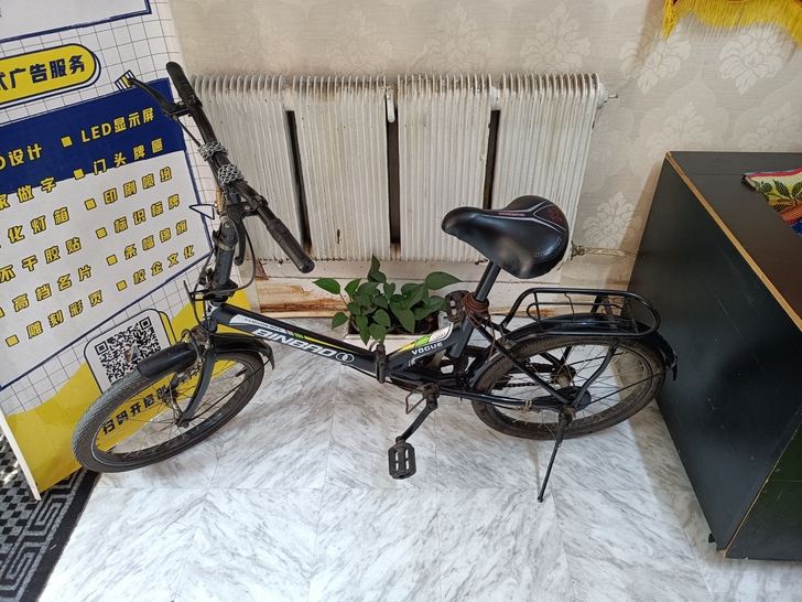 自用折叠自行车,小巧轻便,转有缘人