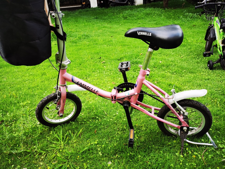 阿米尼折叠自行车 原价700+买的，折叠后...