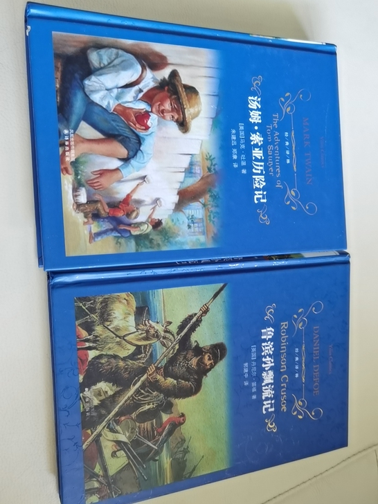 硬皮课外书，汤姆索亚历险记，鲁滨逊漂流记，...