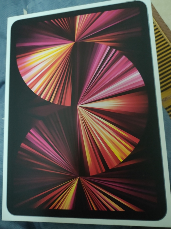 品牌型号 :iPadPro2021 11寸