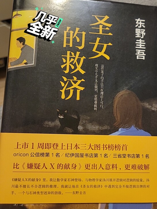 东野圭吾 圣女的救济