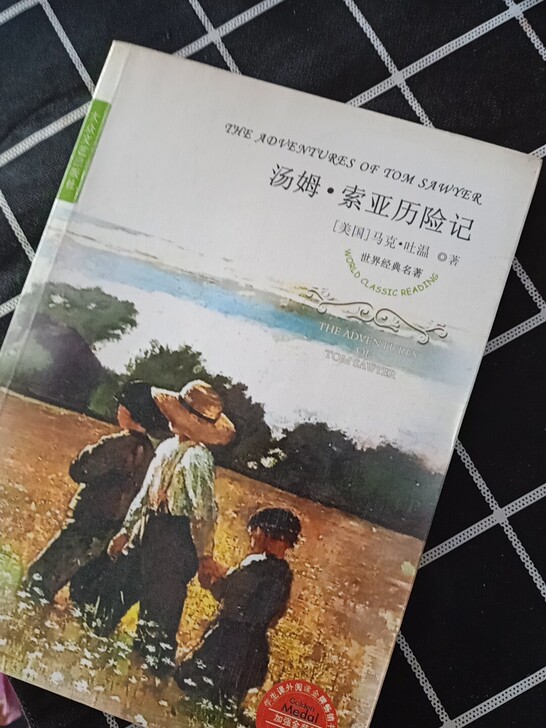 汤姆索亚历险记   爱的教育