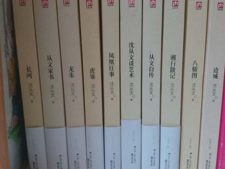 沈从文的十本书，全新，总共100元。运费到...