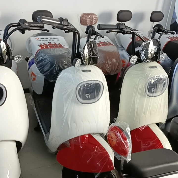 全新绿源电动车