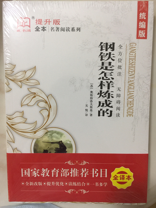 名著阅读 钢铁是怎样炼成的和儒林外史