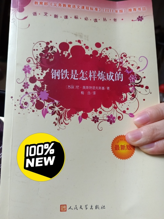 初中必读  钢铁是怎样炼成的  九五新
