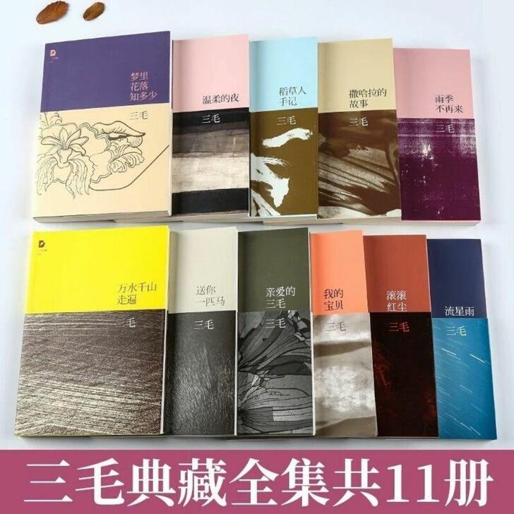 三毛作品全集11册珍藏版撒哈拉雨季不再来现...