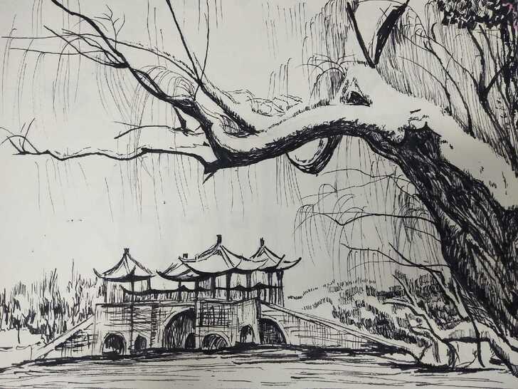 钢笔速写 手绘 照片转手绘 钢笔画
