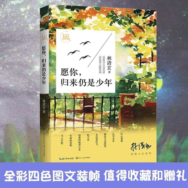 愿你归来仍是少年林清玄启悟人生系列散文集现...