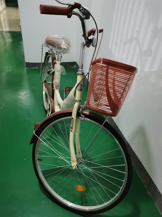 处理永久自行车。全新买了没骑，又买下电动车...