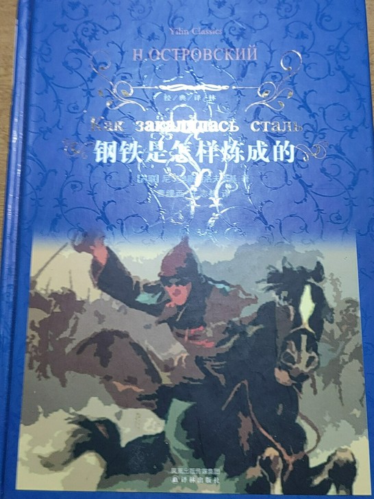 钢铁是怎样炼成的经典译林2018-10精装