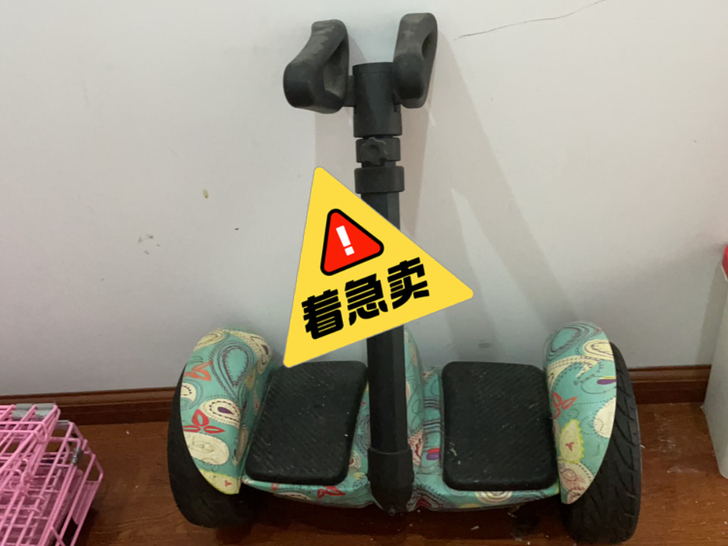 帮朋友卖！性能啥的不了解 慢行天下？乐行天...