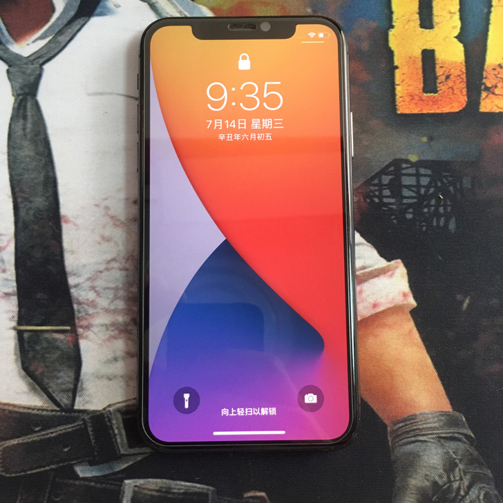 自己用的iphone x 256G国行常年...