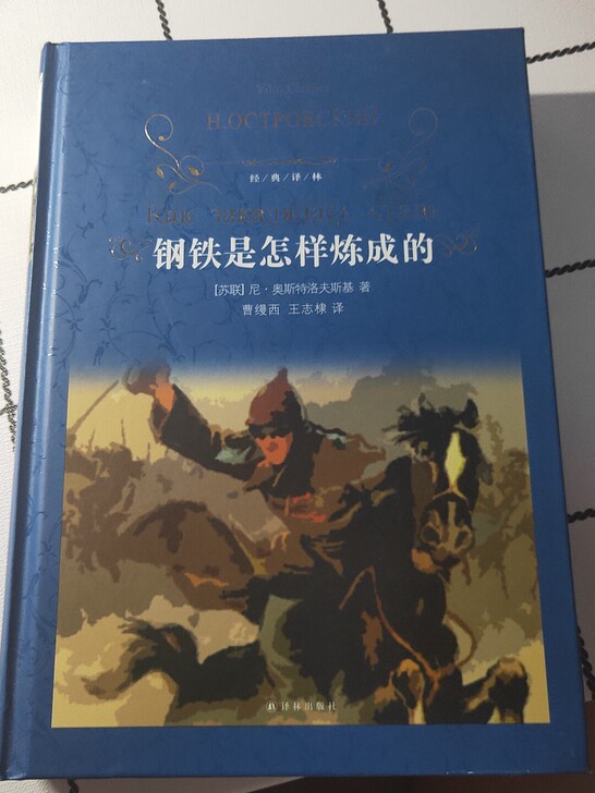 钢铁是怎样炼成的，全新，初中必看书目，新华...