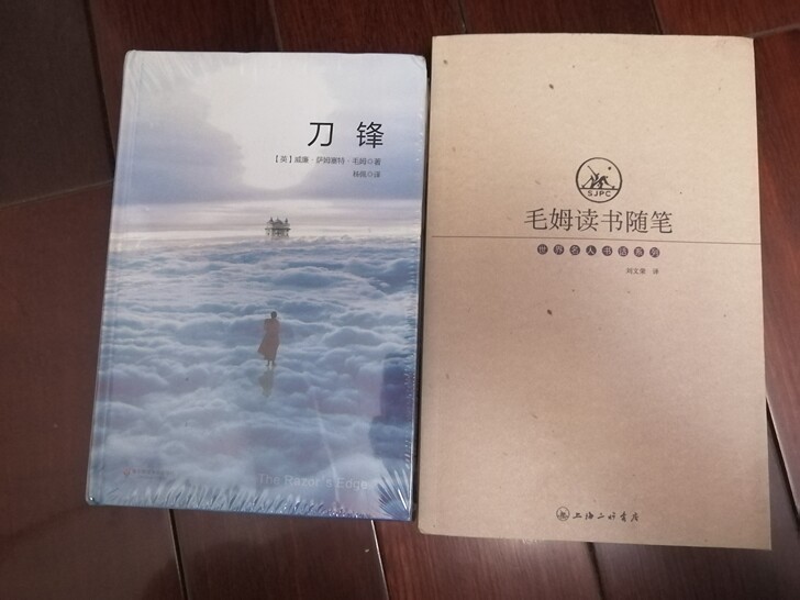 毛姆读书随笔 刘文荣译