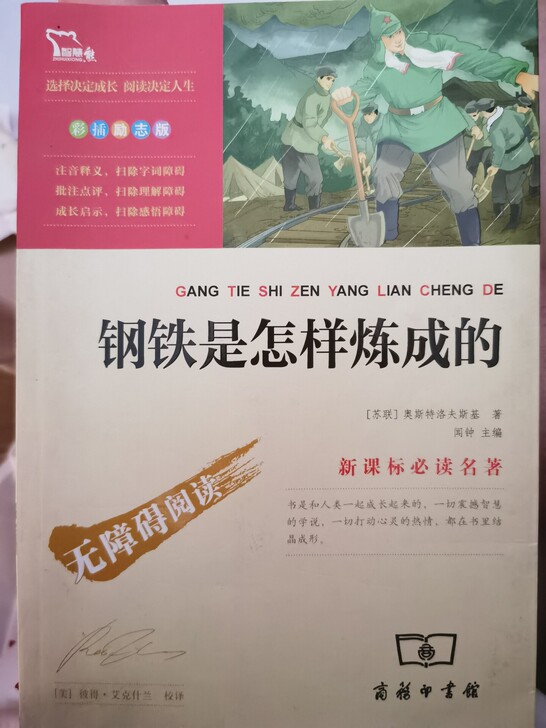 《钢铁是怎样炼成的》，全新，未阅读，无折损