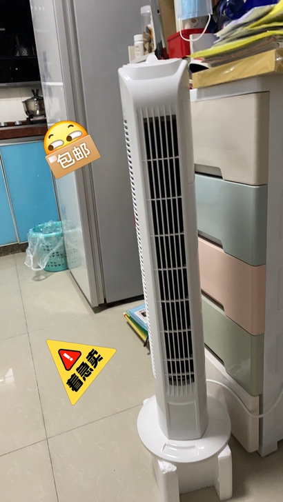 67元清货甩卖原价大几百的：碧利沙电风扇塔...