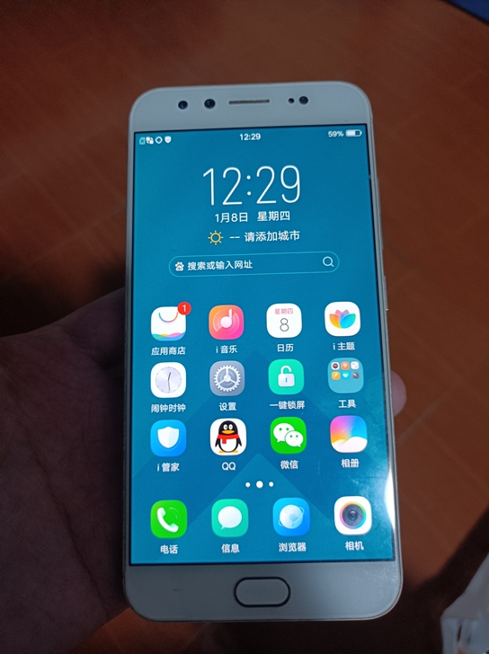 Vivo X9s