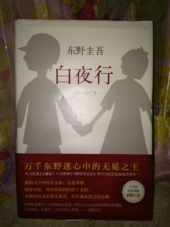 白夜行(精)东野圭吾