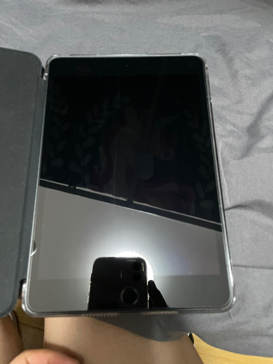 品牌型号：iPad mini5（过保）