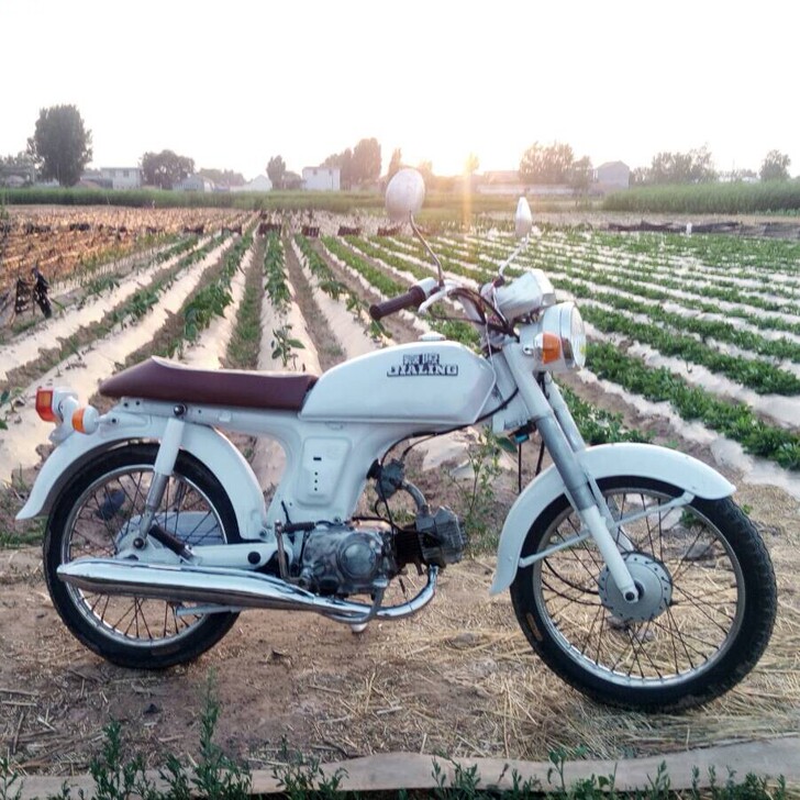 改装复古摩托车