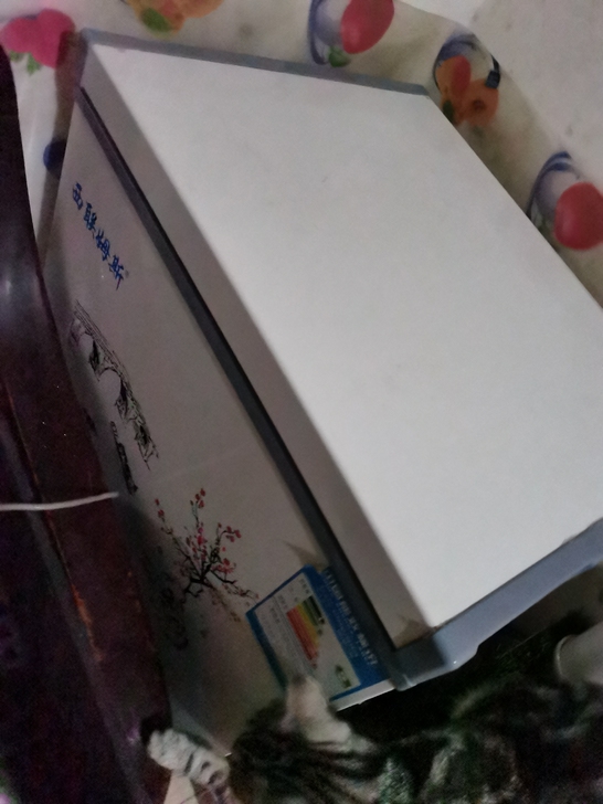 108升西联姆斯冰柜转给有需要的朋友，五一...