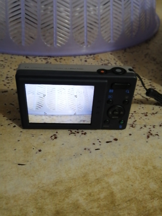 宾得H90 复古 ccd 数码相机  网红...