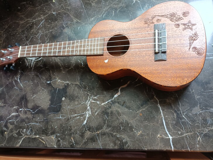 尤克里里半年没用了，音没调，无配件