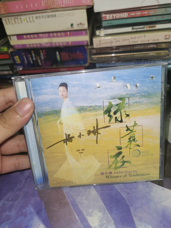 罕见双签名版 杨小琳 绿蓑衣 98年雨果金...