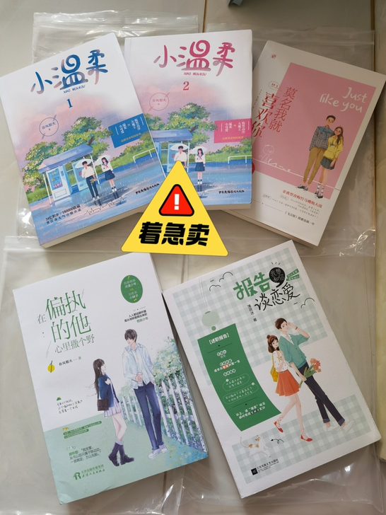 闲置小说，原价148元，现120元包邮。