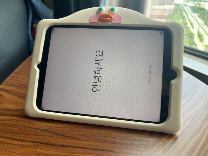 极品 iPad mini 32G