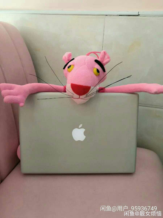 女生个人闲置苹果 Mac   Book p...