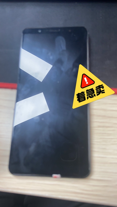 闲置，vivo手机 x21