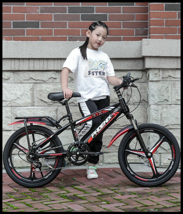 凤凰牌山地车18/20/22寸单车男女儿童...