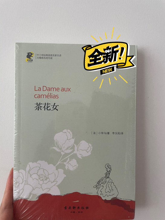 小仲马 金典小说 茶花女