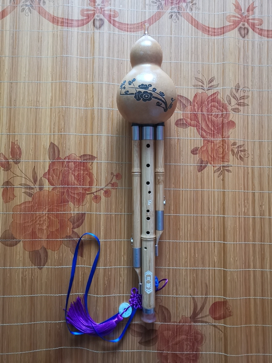 买来就没用，几乎全新九孔葫芦丝F调。去学萨...