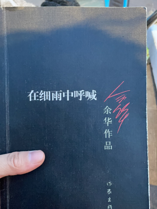 在细雨中呼喊