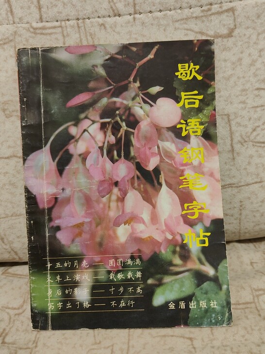 老字帖，歇后语钢笔字帖I：丁永康书，八五新