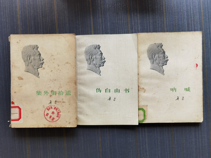 《鲁迅全集》（13本单行本）70年代老版本