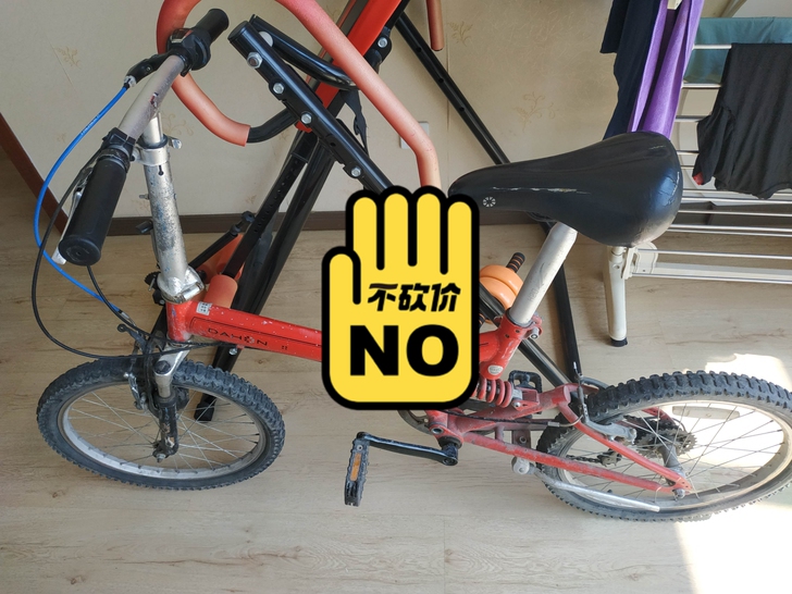 大行TS061,钢架车,孩子初中代步车,成...